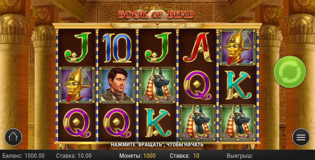 Book of Dead slot at HellSpin